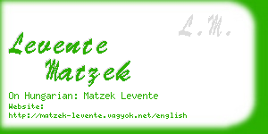 levente matzek business card